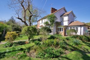 Photo 3- click for photo gallery